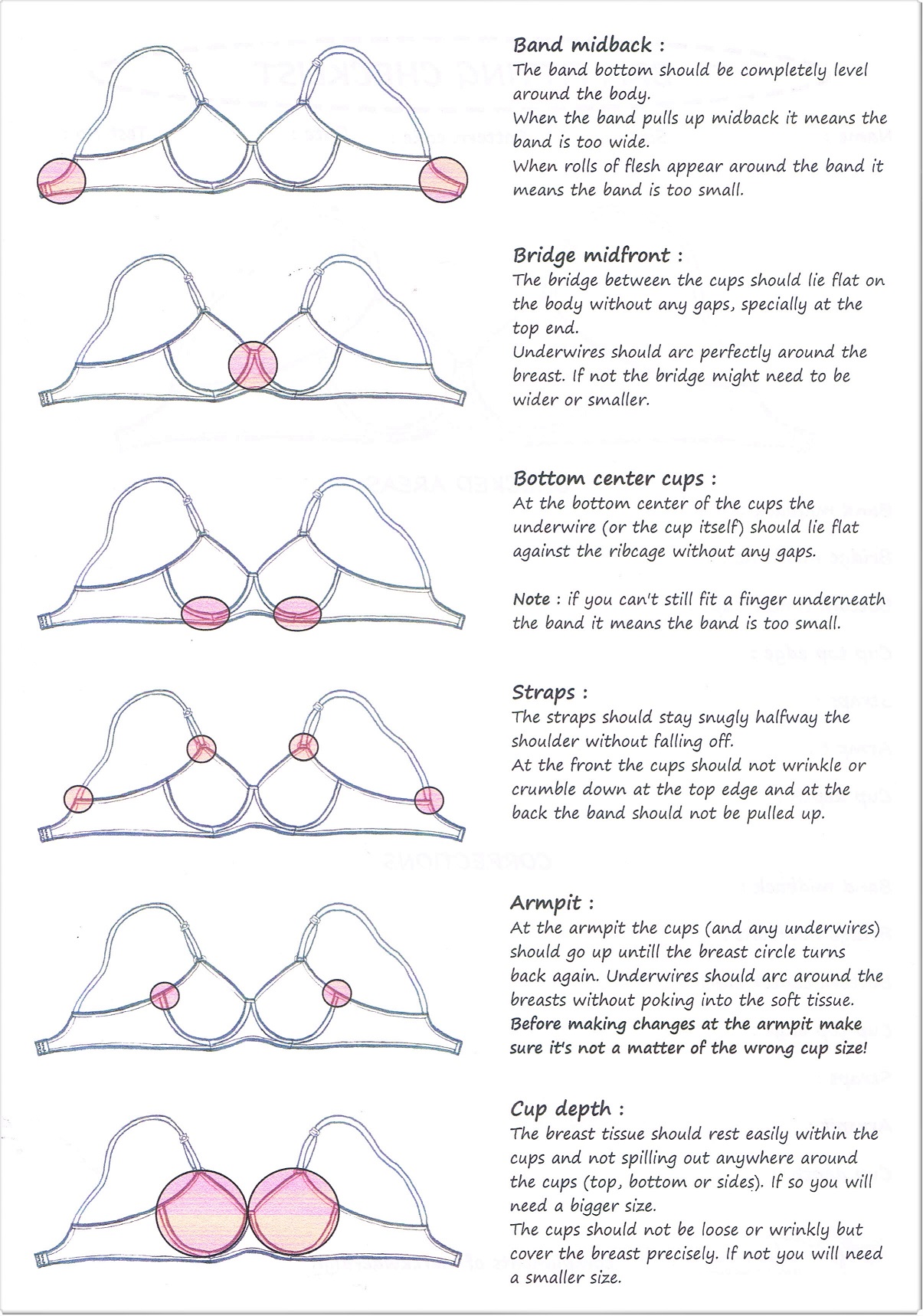 Bra Fitting & Measuring Guide  4 simple steps to getting the