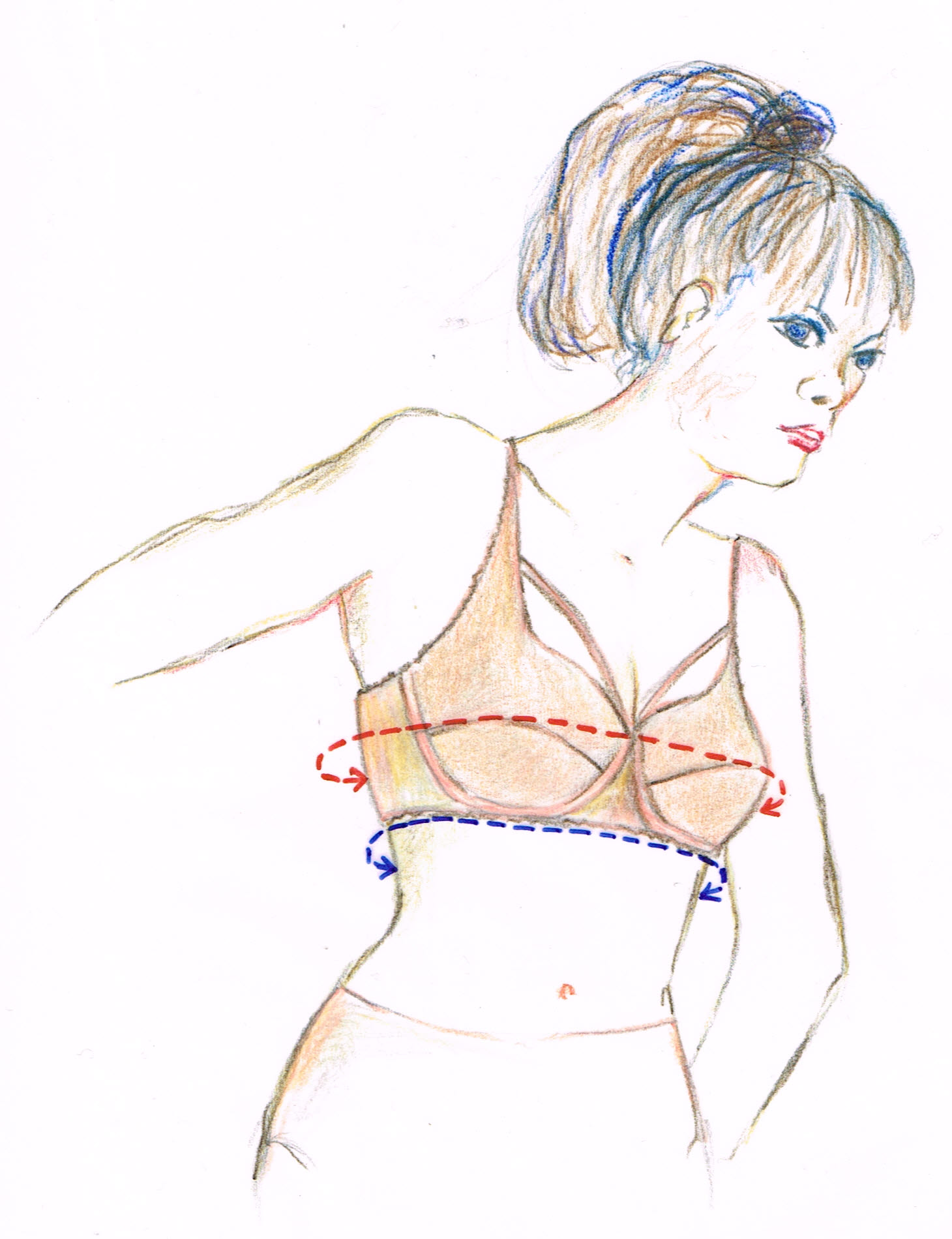 How to draft the bra BAND master pattern in YOUR OWN measurements