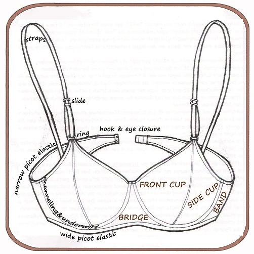 Bra Anatomy: Parts of A Bra Explained